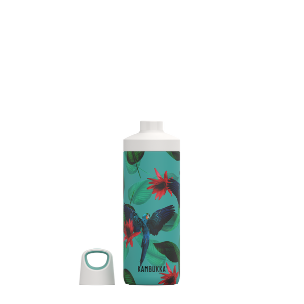 Reno Insulated Bottle 500ml Parrots