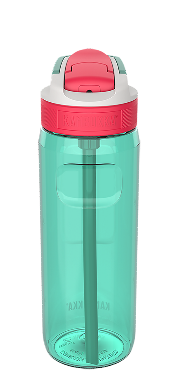 Lagoon Snapclean® 750ml Bottle Sage Green